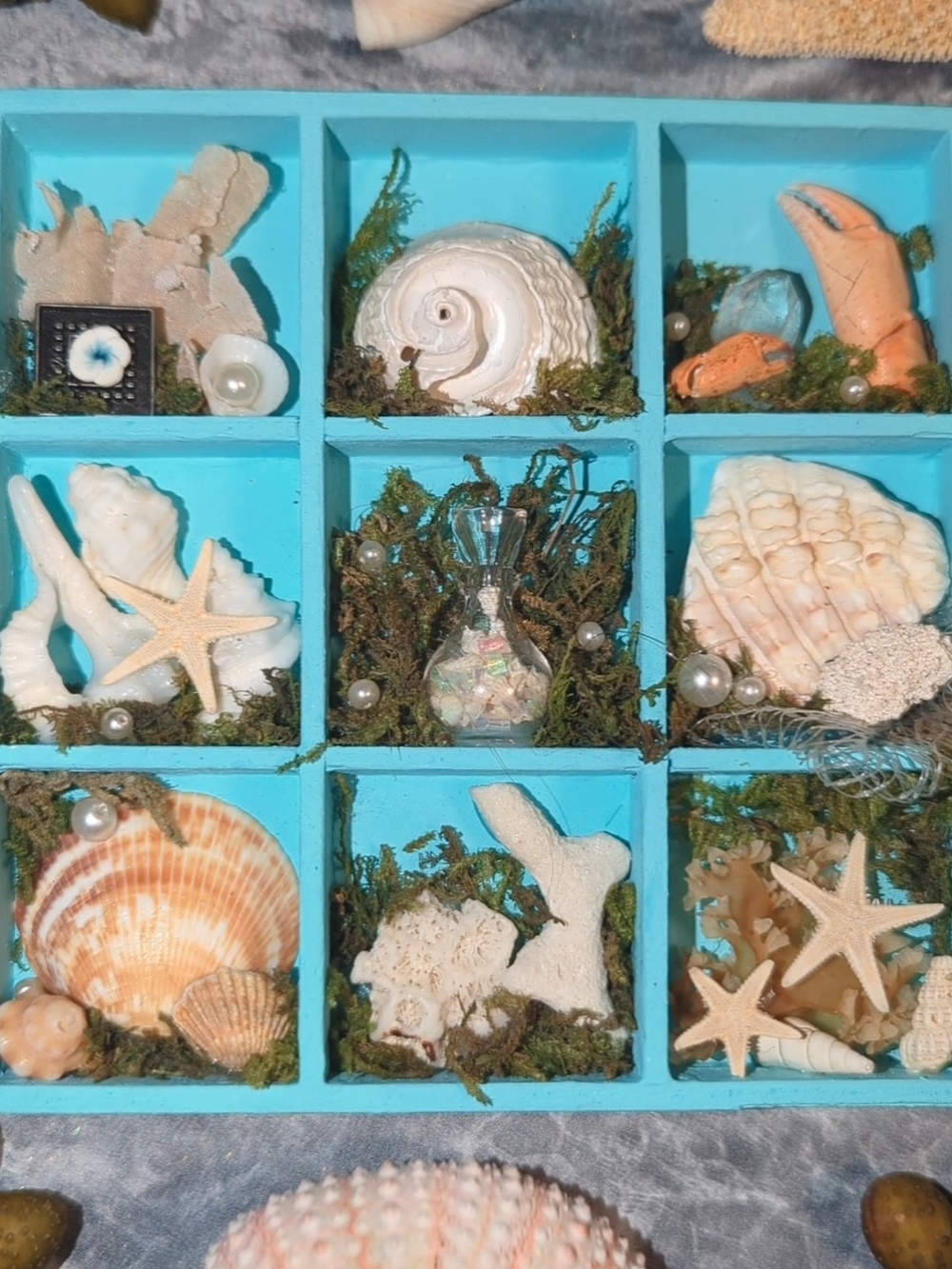 Miniature Fairy Shelf Seashell Mermaid Home Decor Real Shells